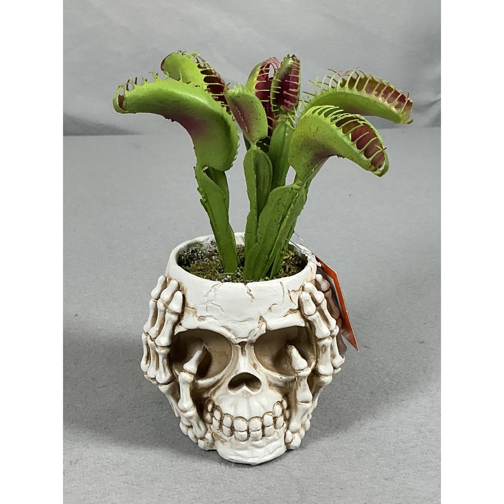Celebrate Together Halloween Skull Venus Flytrap Planter Decor New w/ Tags